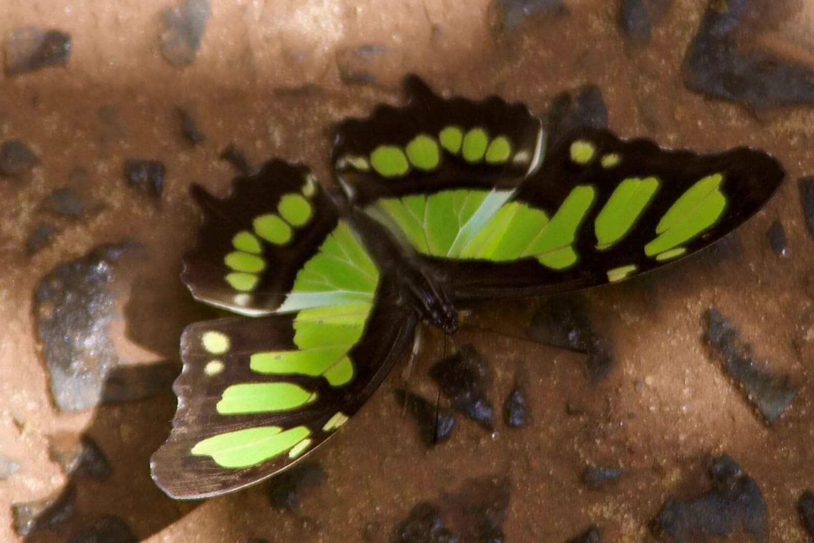 iguazu-reise-urlaub-argentinien