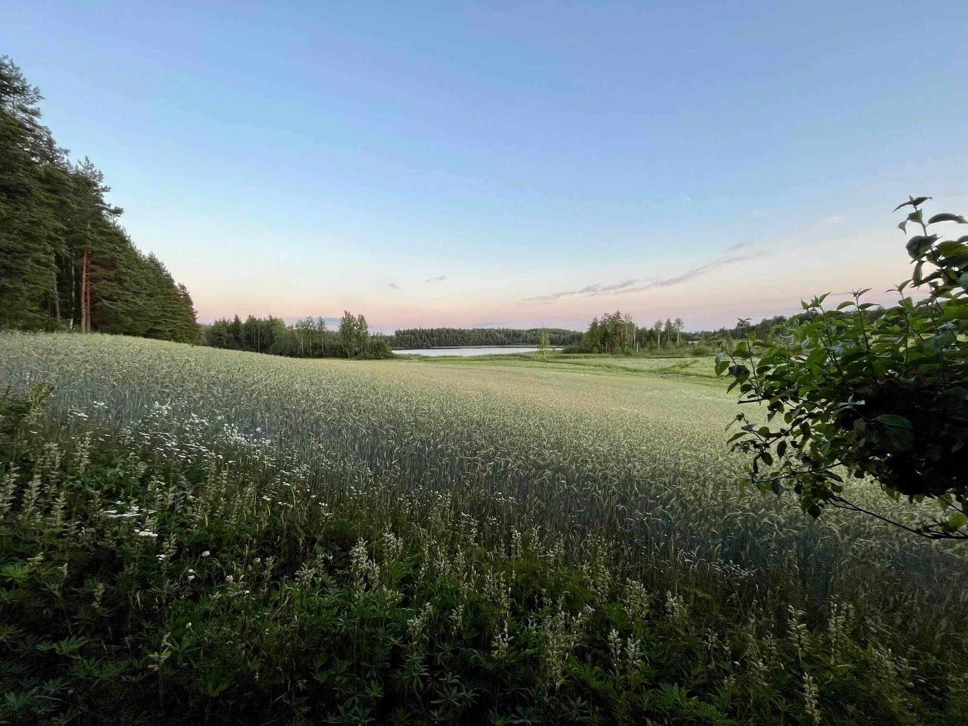 reiseblog-reise-urlaub-finnland