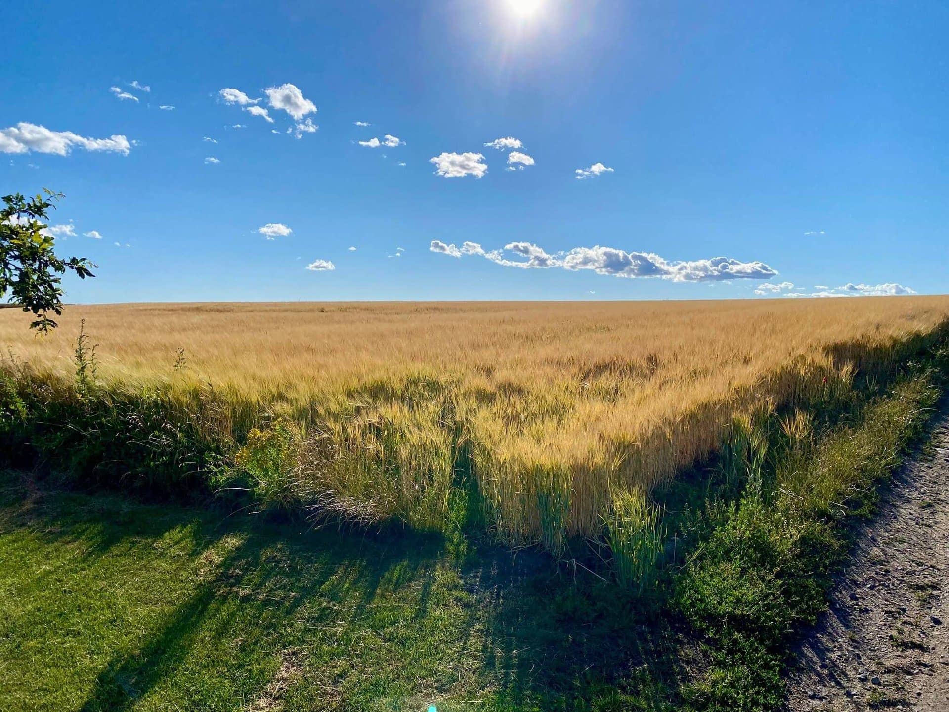 reisen-reiseblog-schweden-urlaub