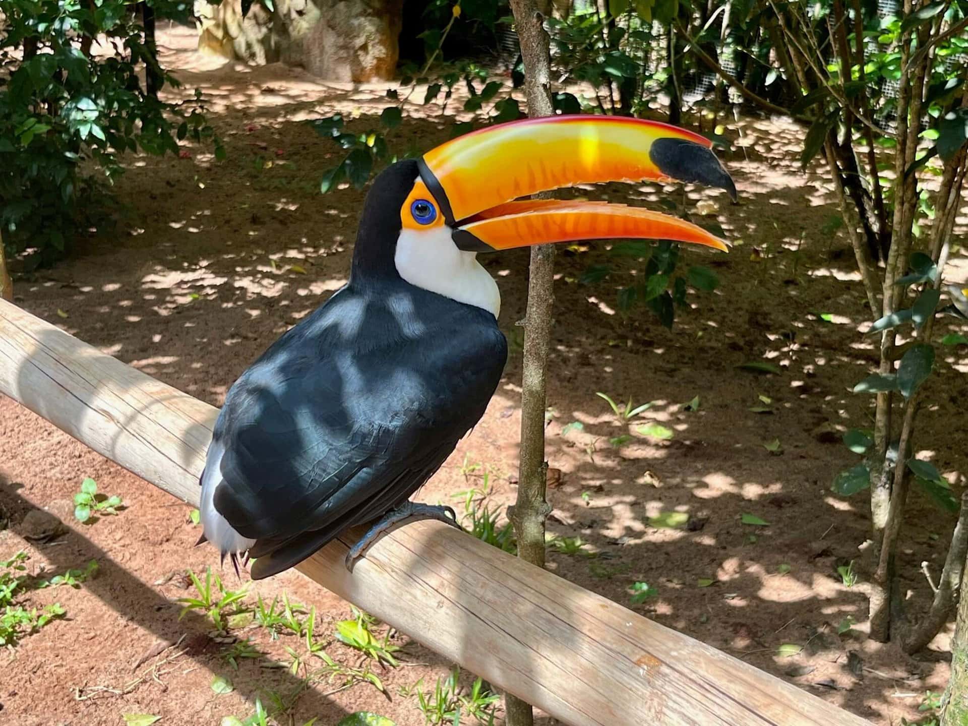 gruppenreise-urlaub-argentinien-iguazu