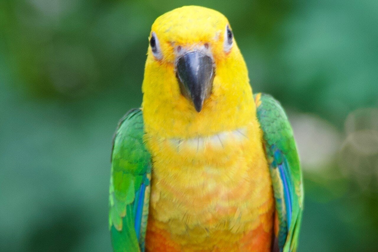 iguazu-urlaub-argentinien-reise-reiseblog