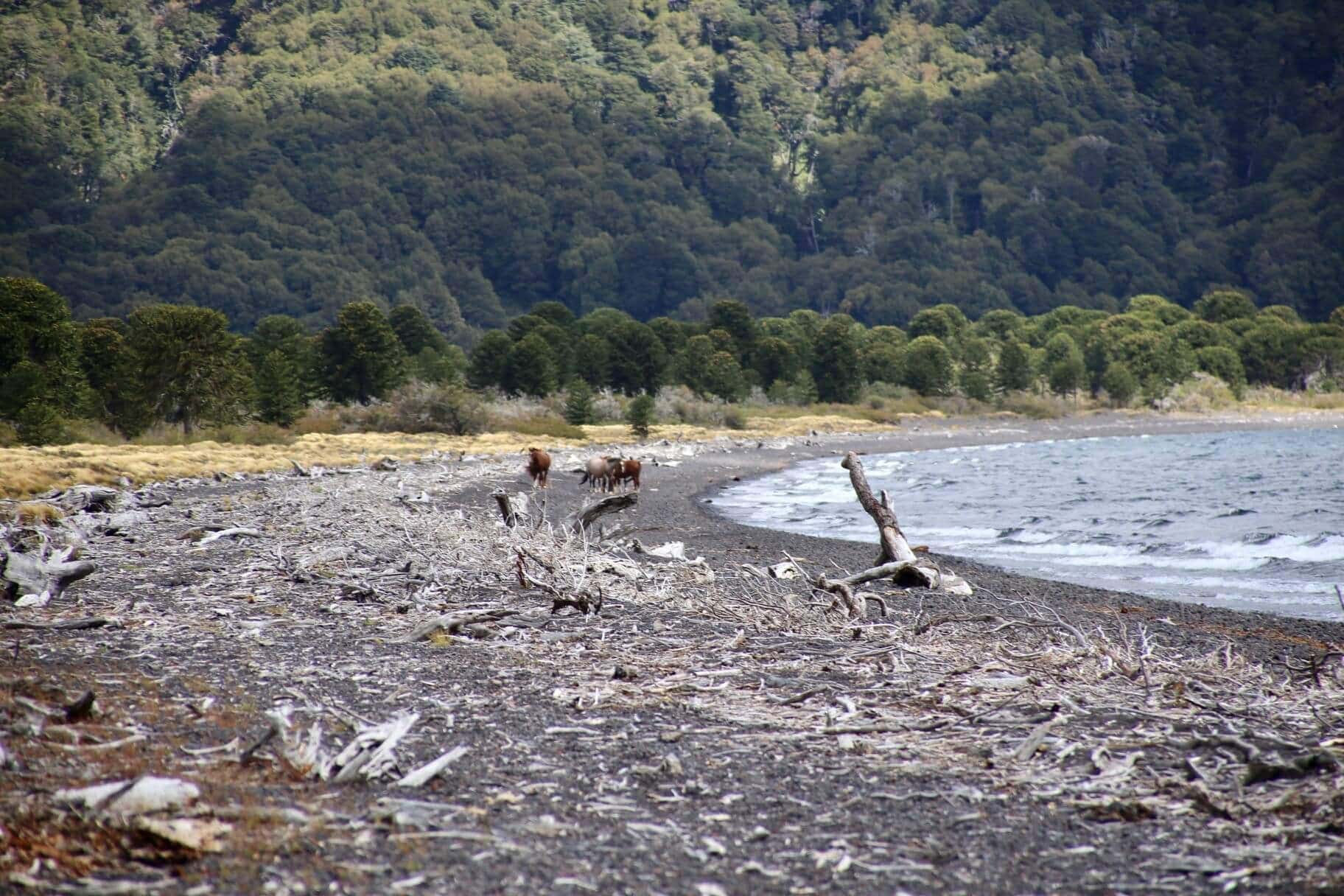 bariloche-urlaub-blog-argentinien