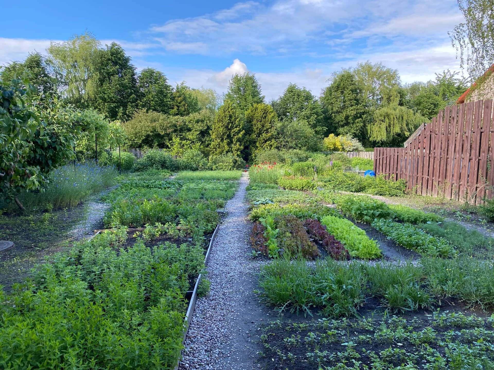 plane-deinen-urlaub-reise-ostsee-polen