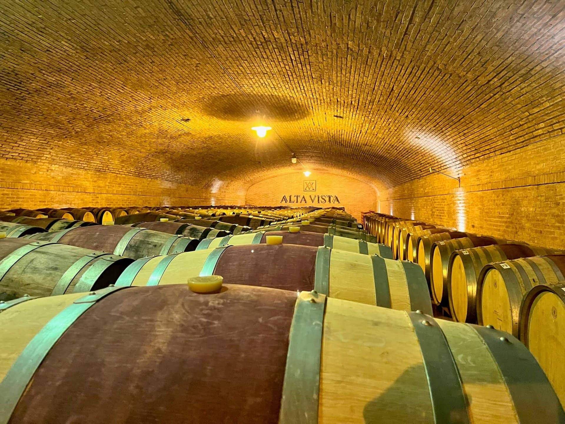 mendoza-wein-urlaub-argentinien-reiseblog