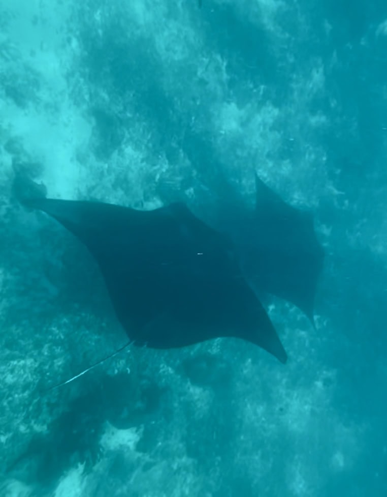 reiseblog-indonesien-flores-komodo-inseln-urlaub-sonne-palmen-strand-couple-reise