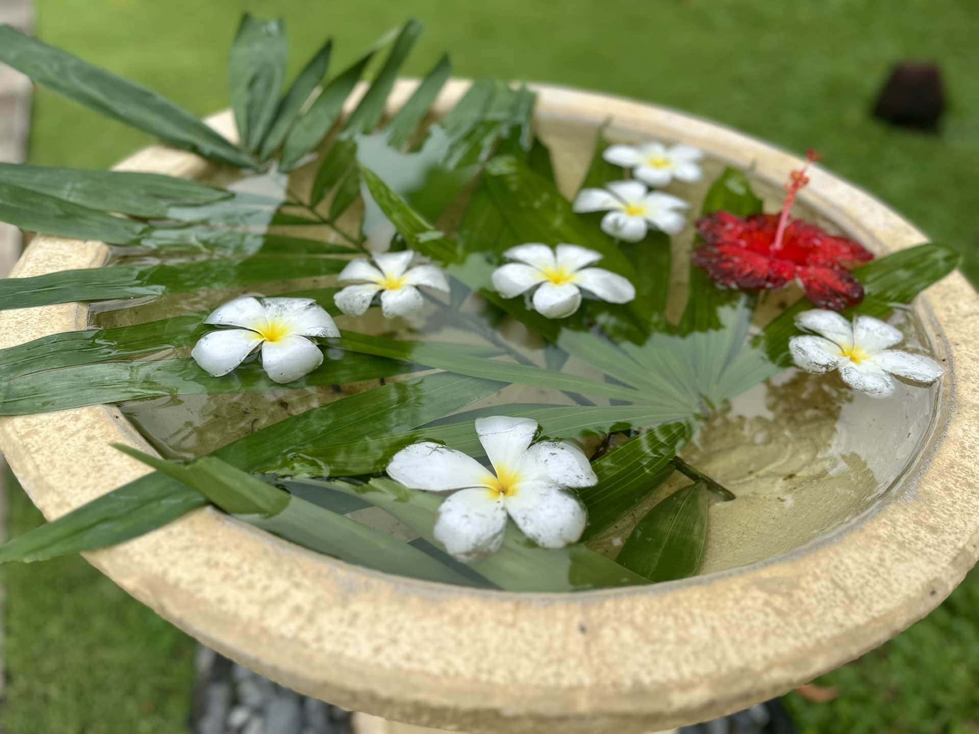 reiseblog-indonesien-flores-komodo-inseln-urlaub-sonne-palmen-strand-dekoration-reise