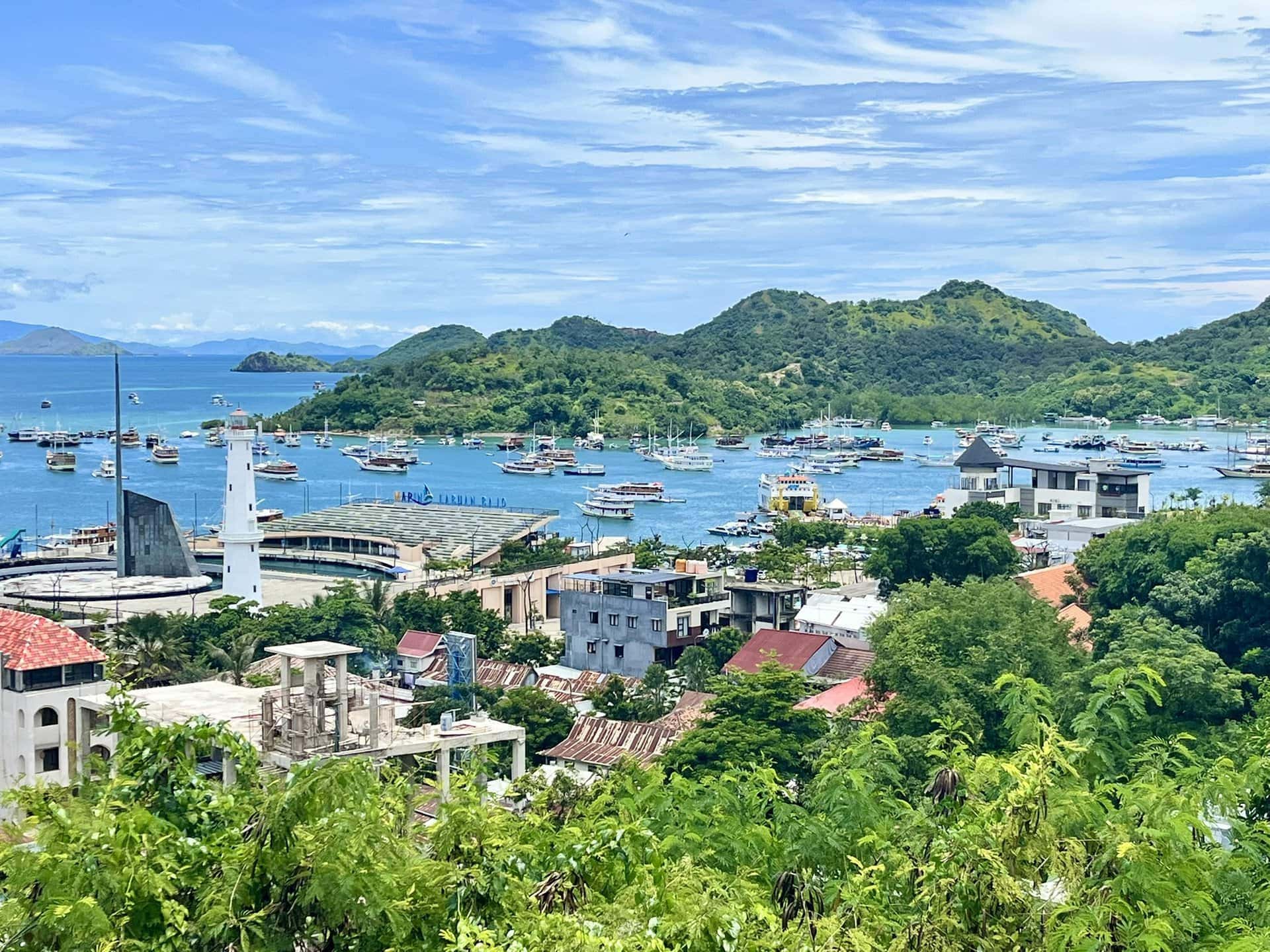 reiseblog-indonesien-flores-komodo-inseln-urlaub-sonne-palmen-strand-green-hafenfeeling-reise