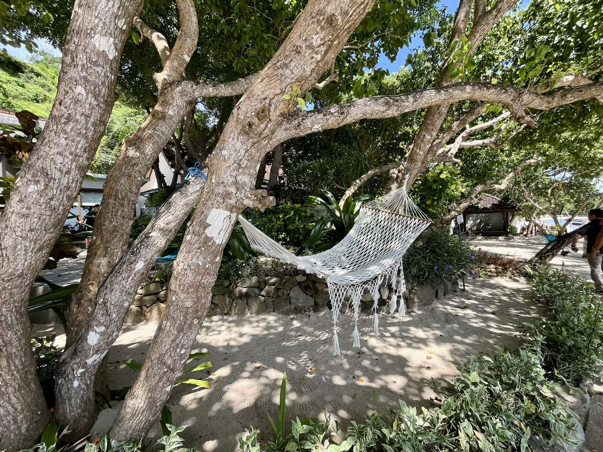 reiseblog-indonesien-flores-komodo-inseln-urlaub-sonne-palmen-strand-haengematte-reise