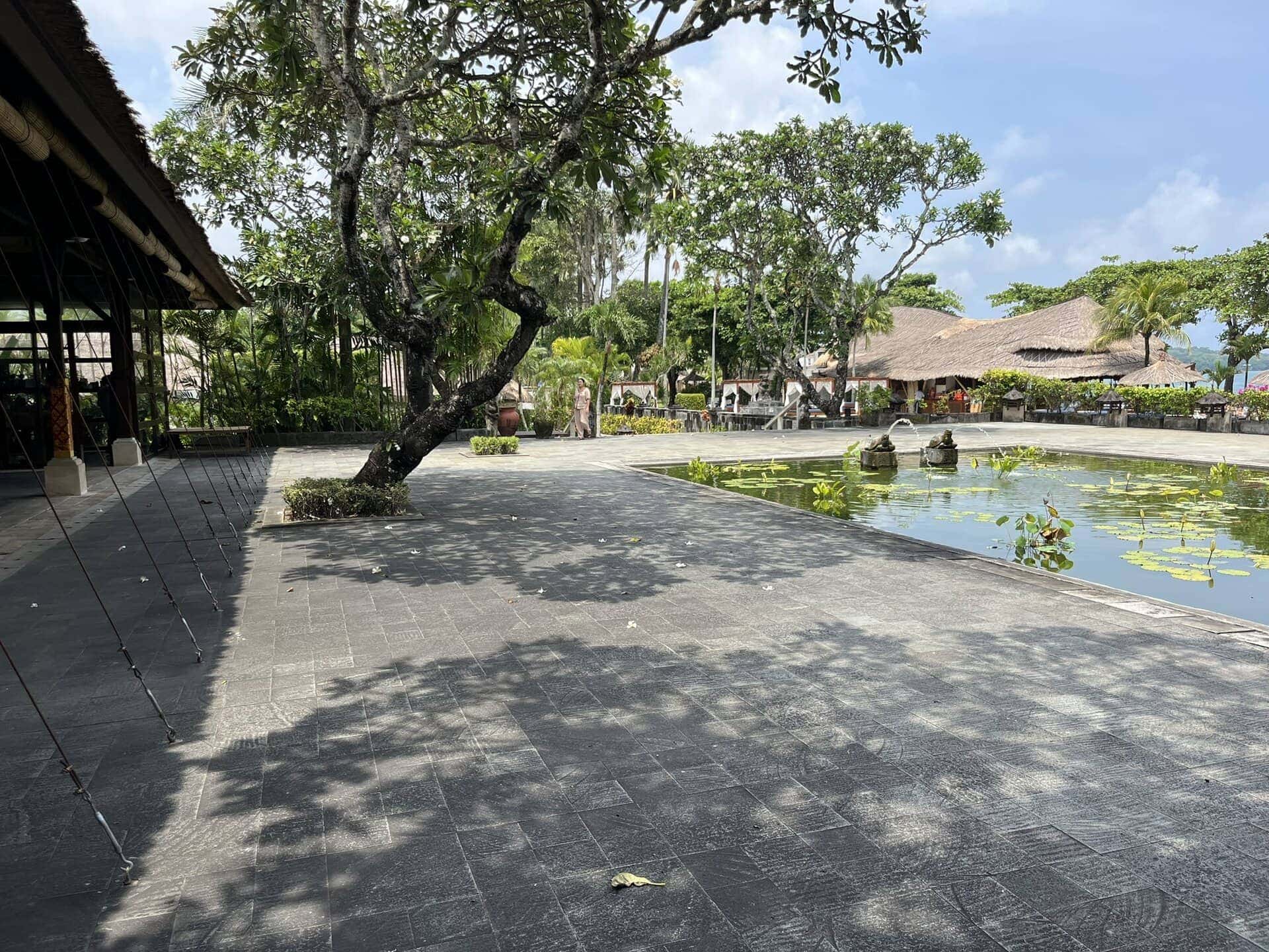 reiseblog-indonesien-flores-komodo-inseln-urlaub-sonne-palmen-strand-hotel-teich-reise