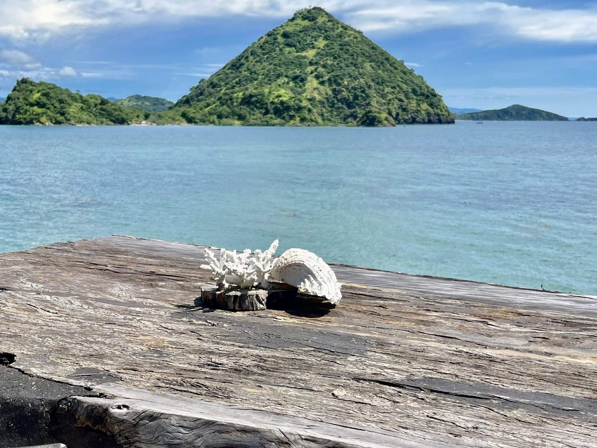 reiseblog-indonesien-flores-komodo-inseln-urlaub-sonne-palmen-strand-muscheldesign-reise