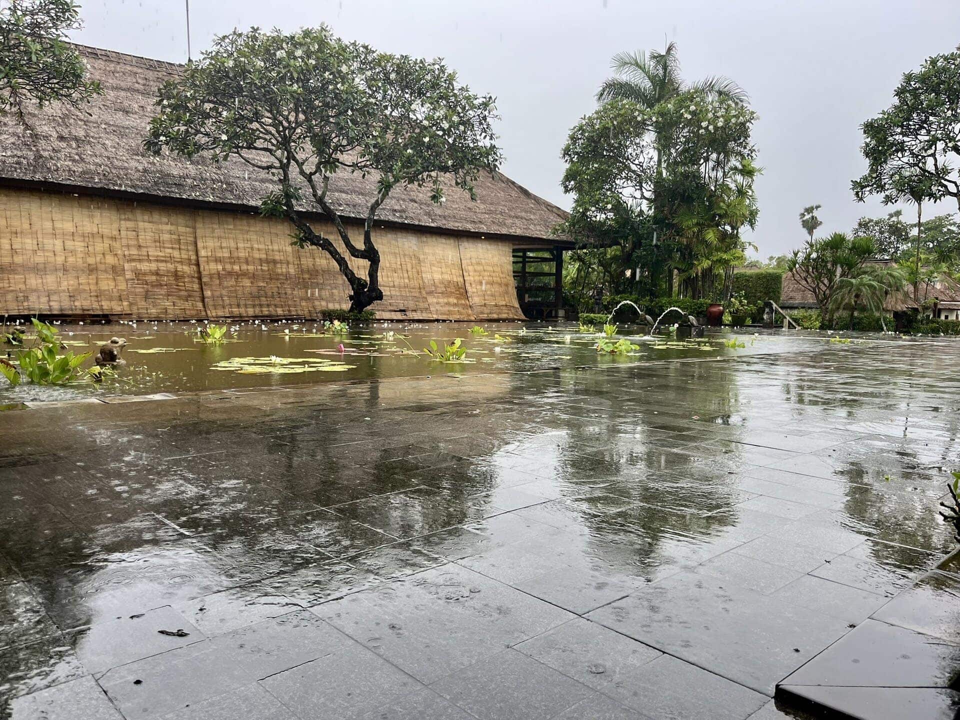 reiseblog-indonesien-flores-komodo-inseln-urlaub-sonne-palmen-strand-teichlandschaft-reise