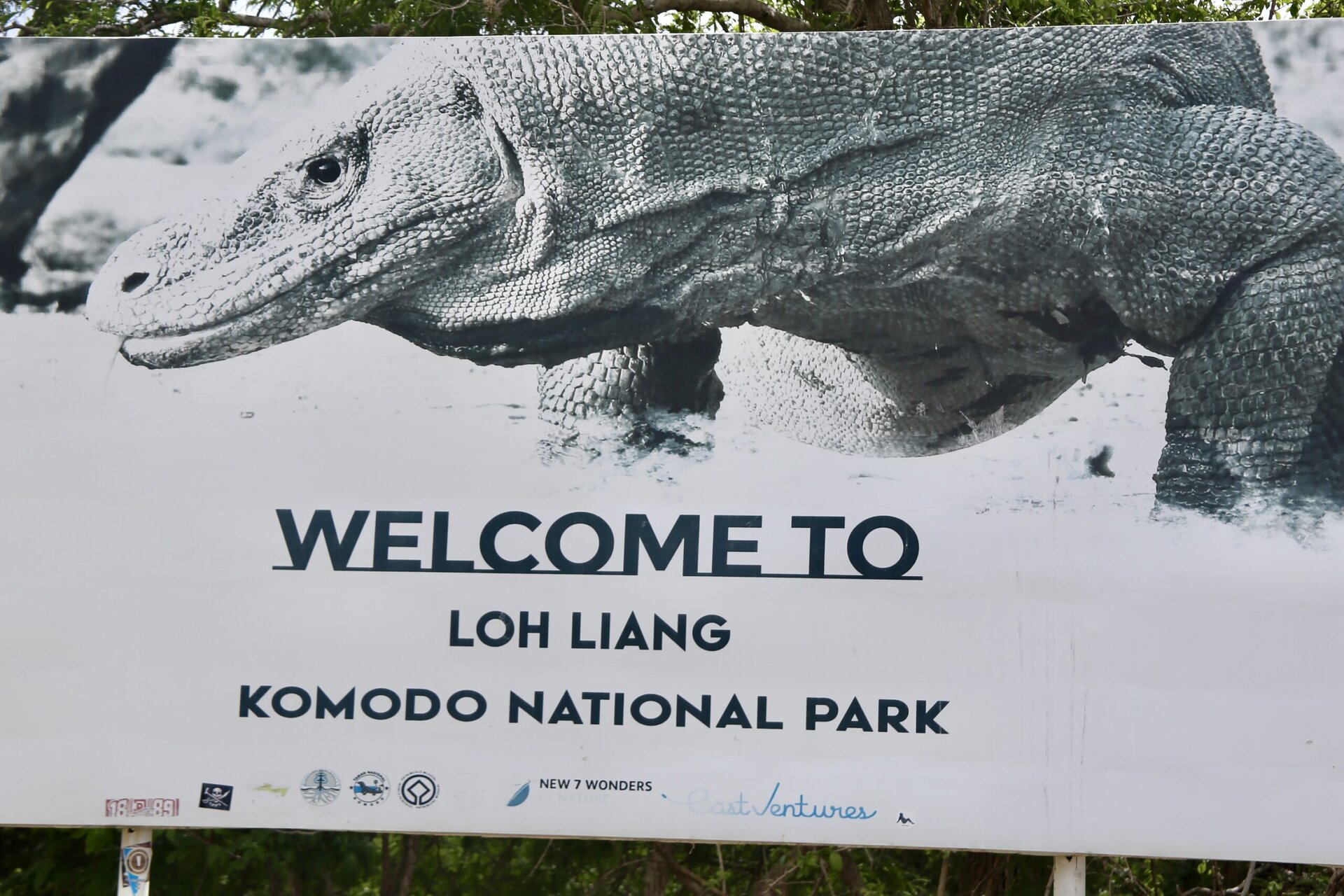 reiseblog-indonesien-flores-komodo-inseln-urlaub-sonne-palmen-strand-welcome-reise